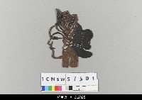 藏品(中國湖北皮影戲偶頭-旦)的圖片